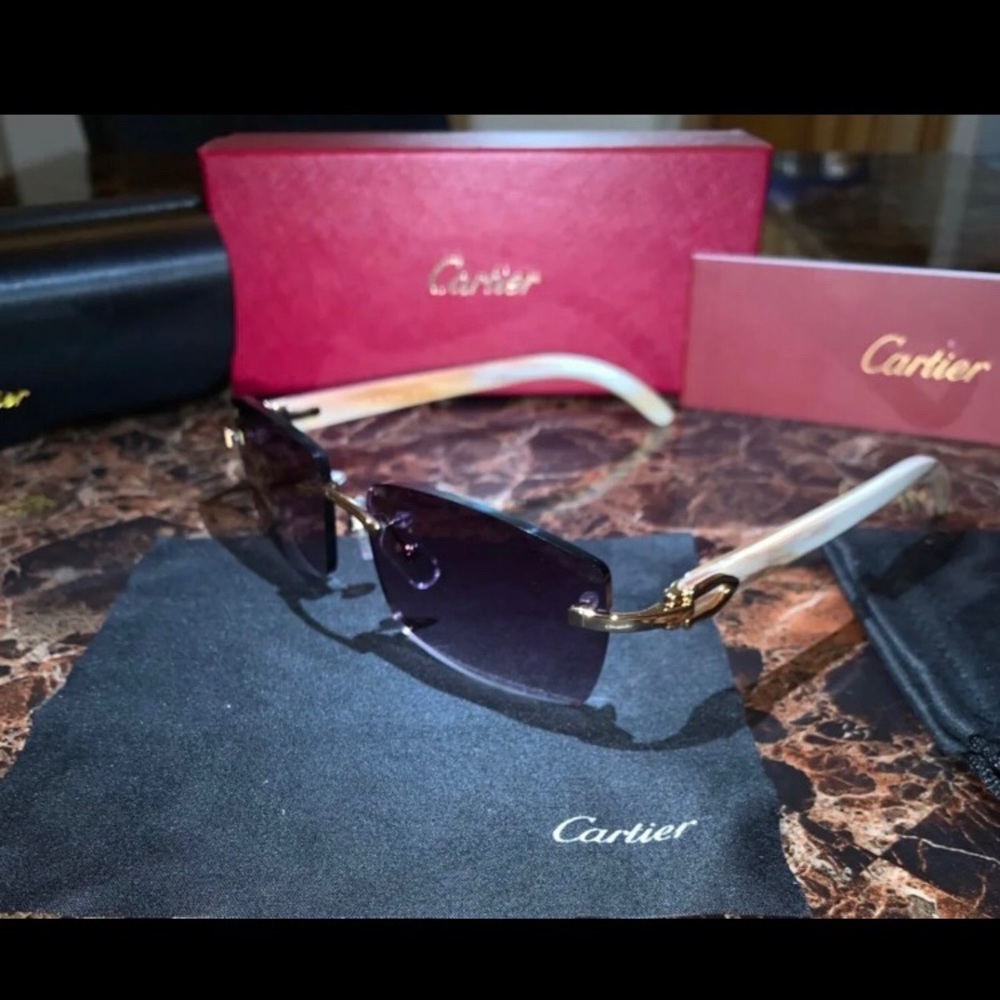 Cartier Buffalo Horn Sunglasses